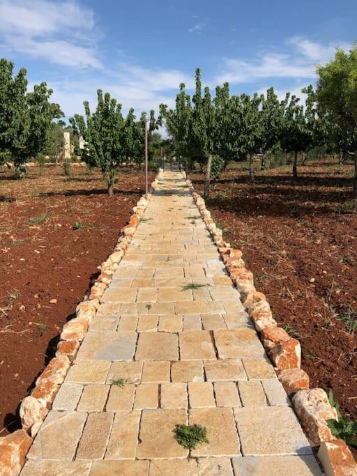 Ulivo Villa Monopoli Dış mekan fotoğraf